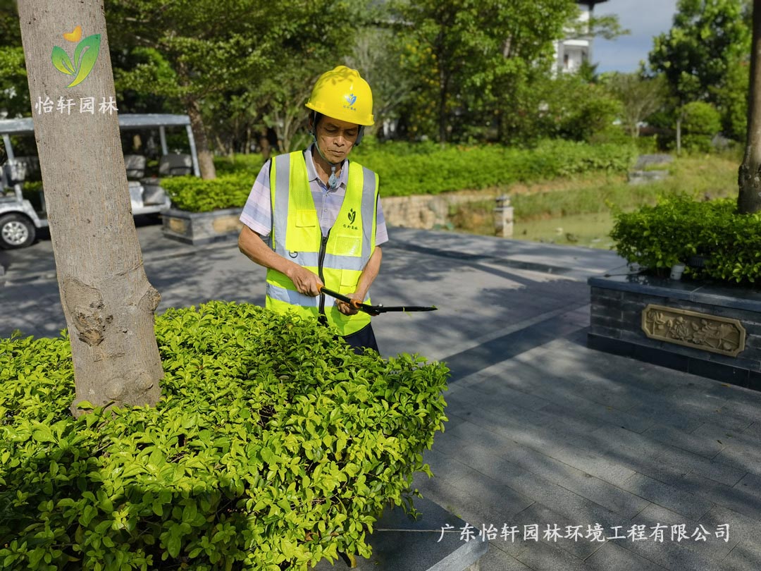 博鱼园林绿化公司养护人员正在修剪