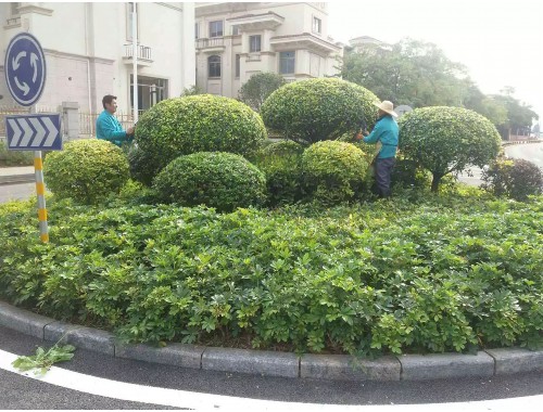 宁波绿化市政工程经营范围包括哪些