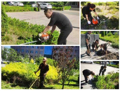 彭州城市绿化带种植什么植物比较好